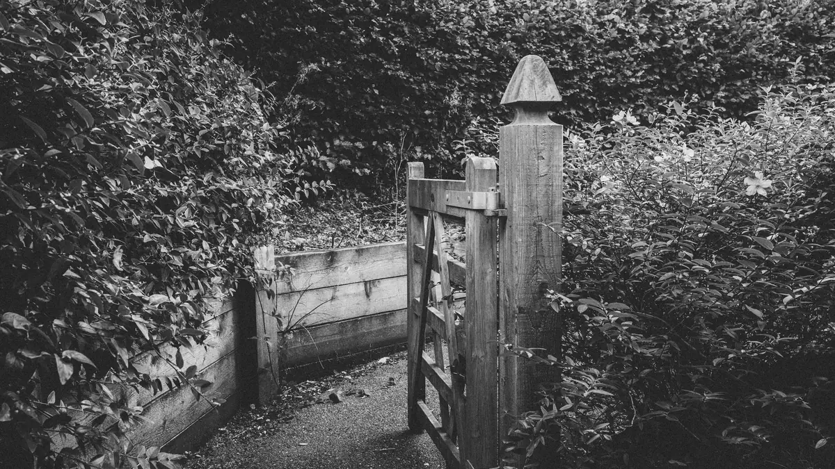 長く手入れされず草木が伸び放題になった庭の入口