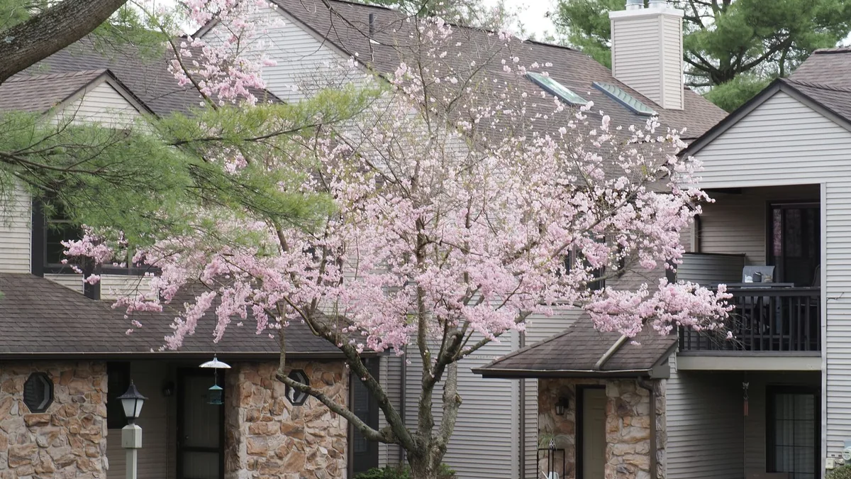 住宅地の庭に立つ庭木と隣家の境目