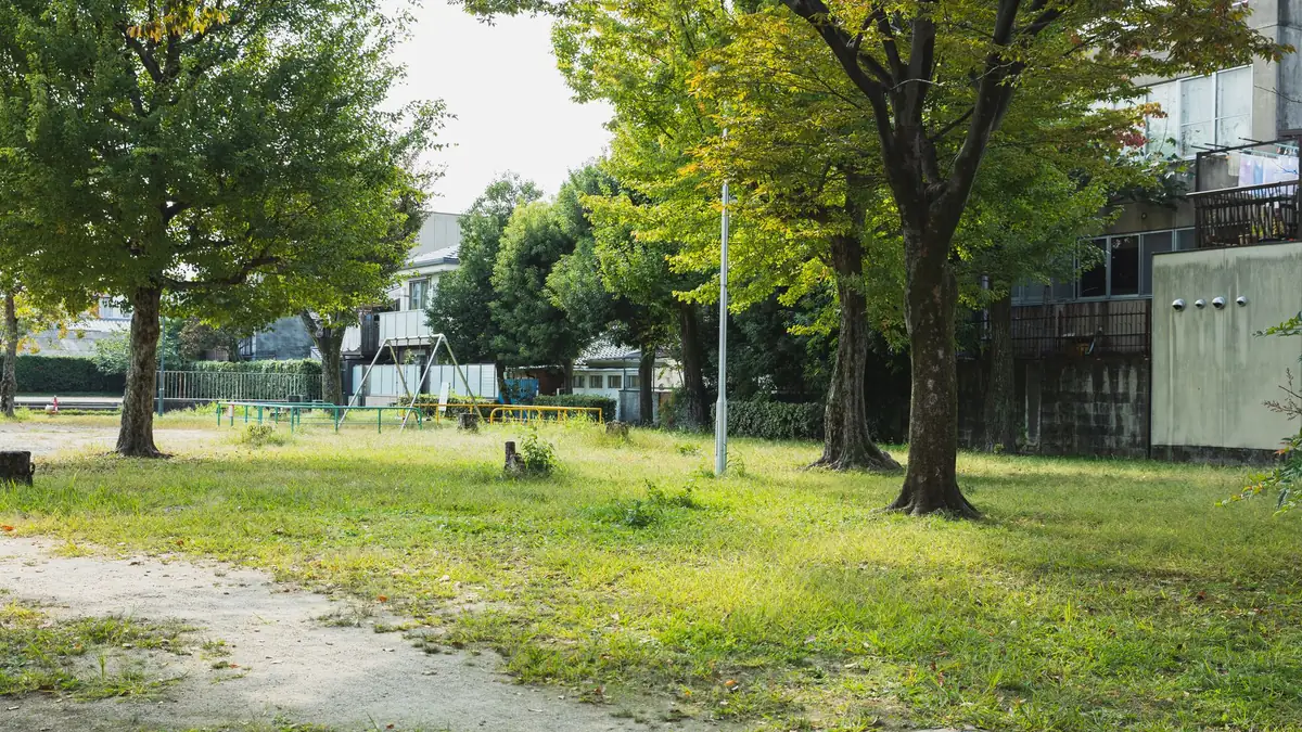 住宅地の庭に立っている庭木を写したイメージ写真