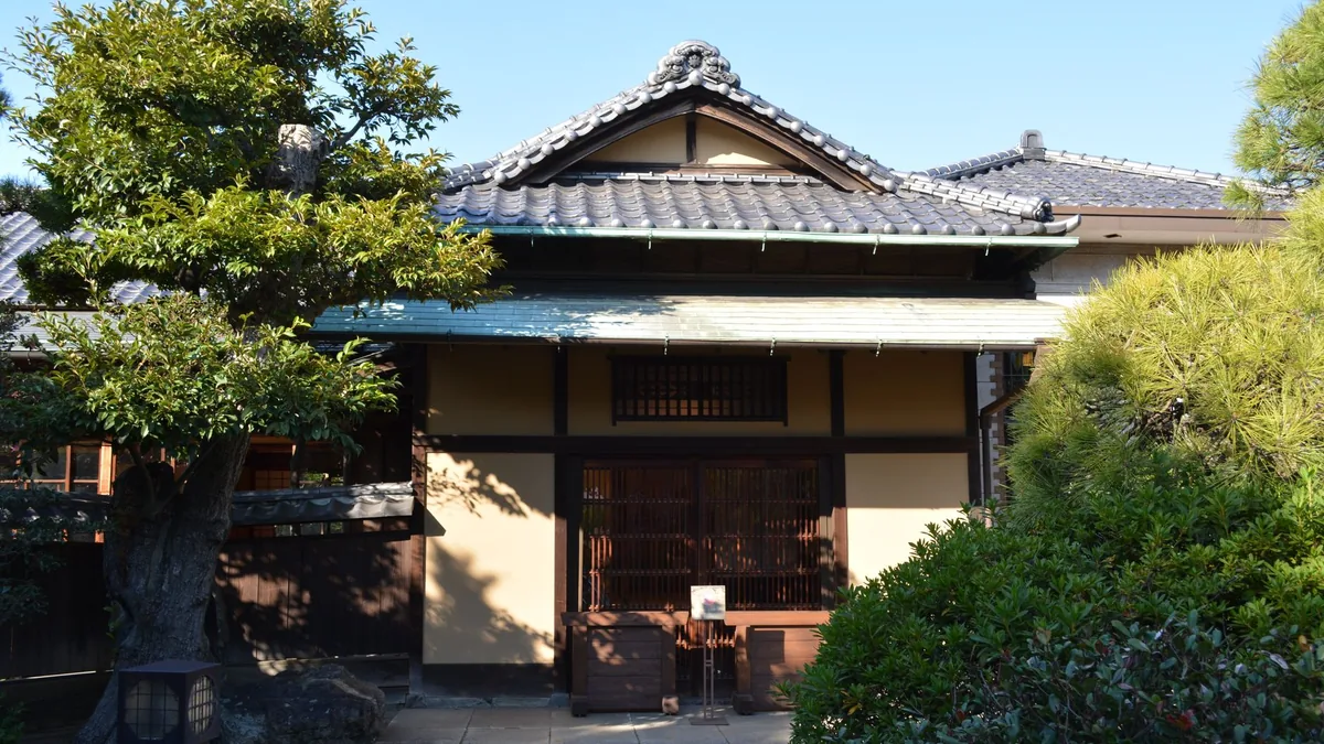 住宅地の庭に立つ、屋根より高く育った大きな庭木